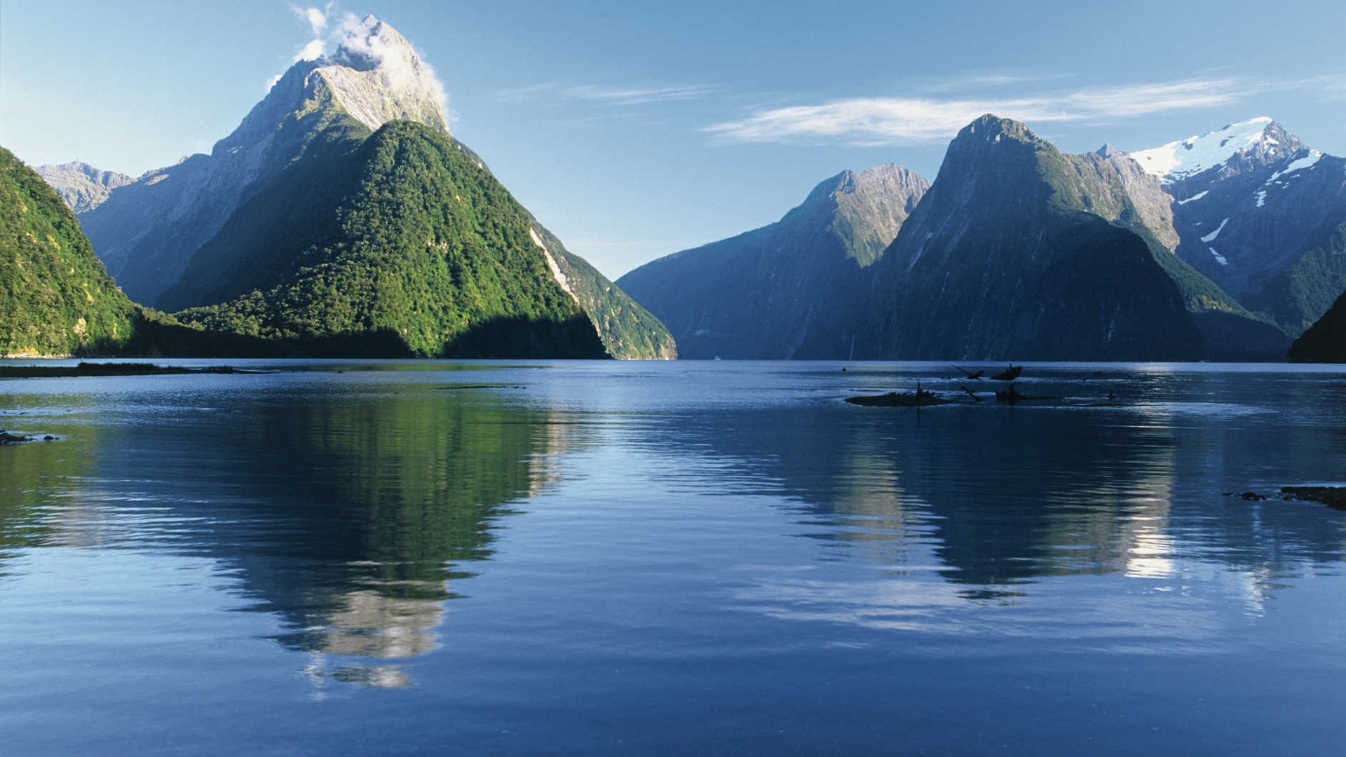 New Zealand Tourists spot